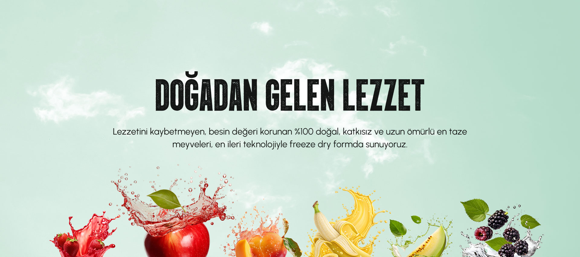 Doğadan Gelen Lezzet